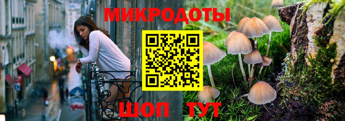 Псилоцибиновые грибы мицелий Киров