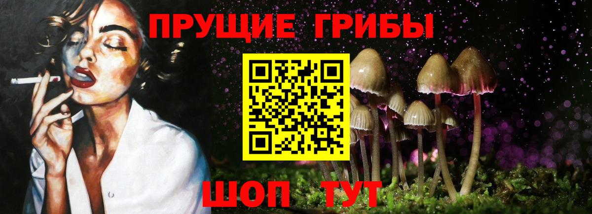Киров  Псилоцибиновые грибы Psilocybe  Вход с VPN 